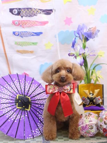 20240528永遠ちゃん